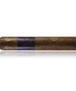 La Instructora Perfeccion Short Robusto